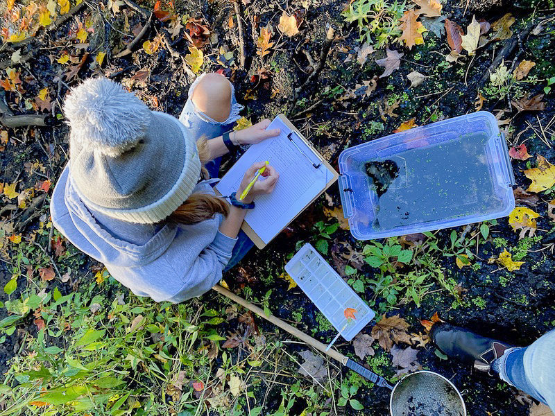 Ecology student Kathryn Pope working on a lab outside on the grass, aerial view