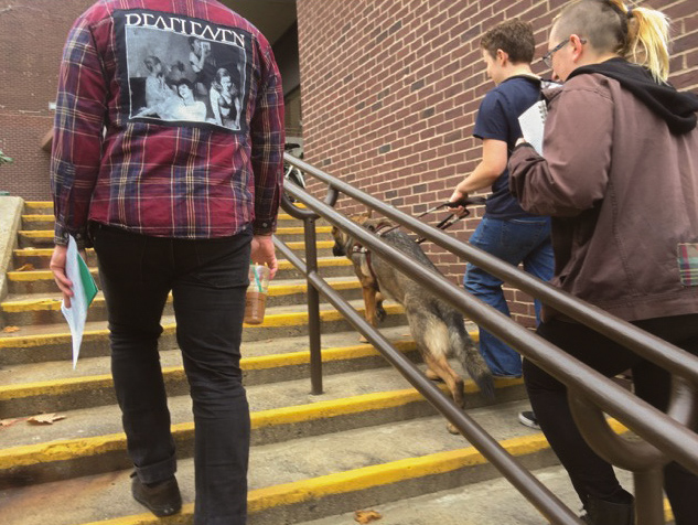 students with service dog walking up steps outside of bulding on campus. 