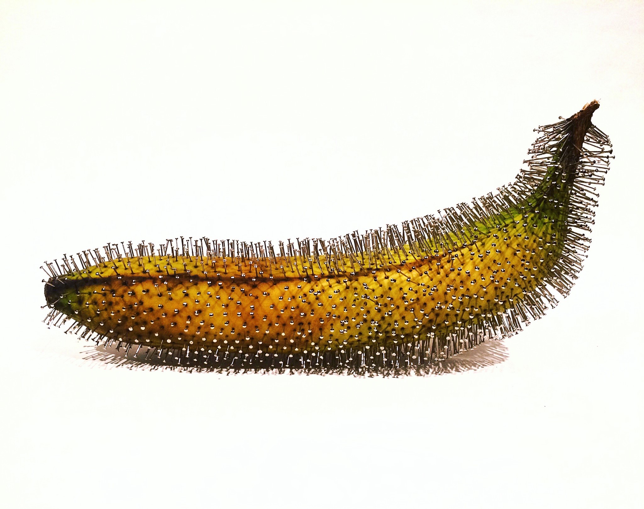 banana with pins in it in front of white background