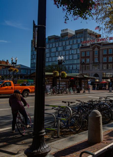 Harvard Square 