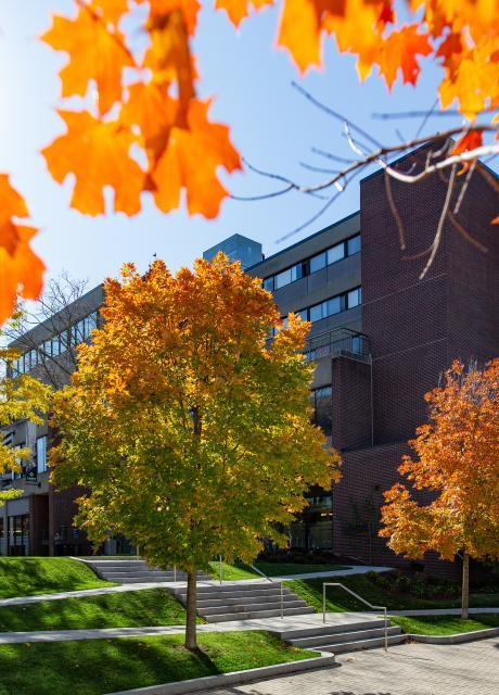 doble campus during the fall