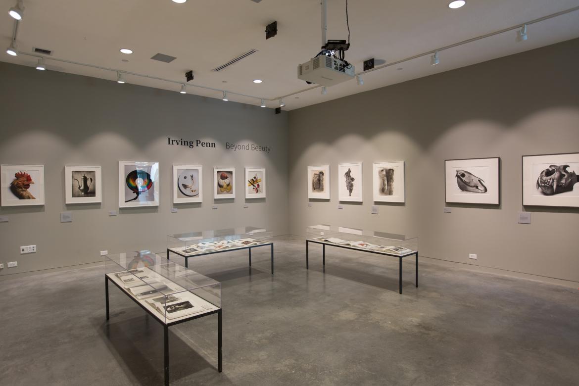 Raizes Gallery: Irving Penn Exhibition 