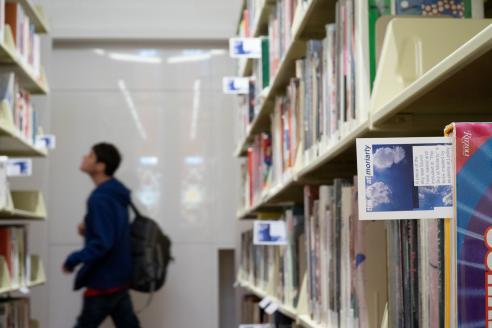 image of bookshelves with flagged books