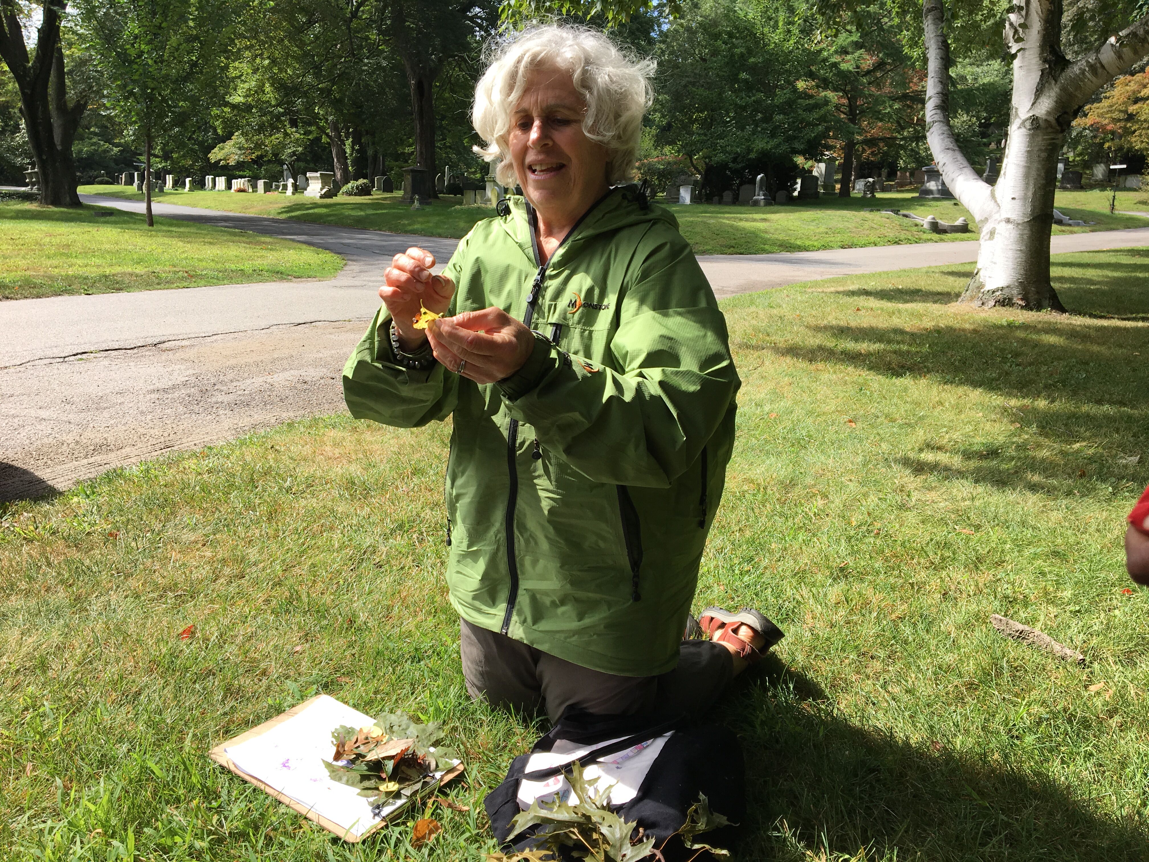 Susan Rauchwerk kneels on the grass holding a leaf with a small pile of leaves in front of her